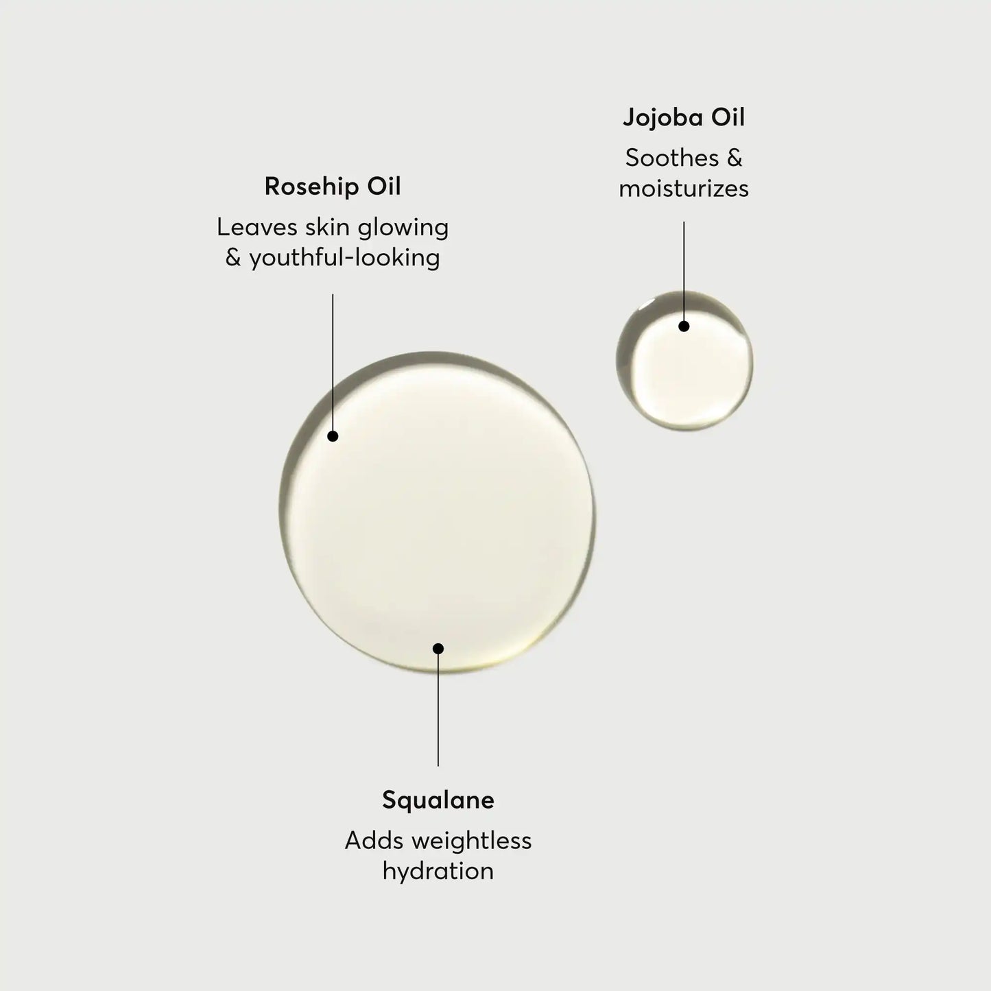 the-glow-getter-body-oil-x1 NATR-10115-Alt-Images-The-Glow-Getter-Body-Oil-01.webp