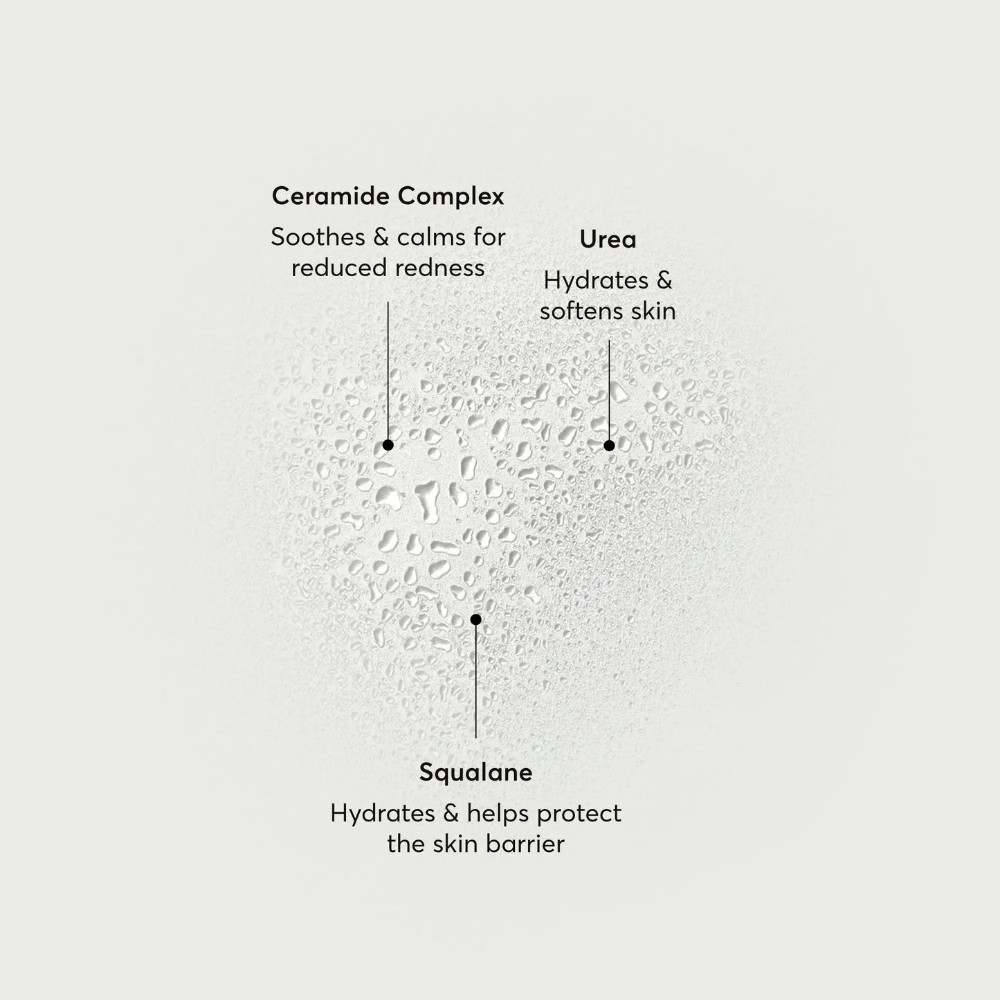 barrier-bounce-bi-phase-mist-j5 NATR-10167-Alt-Images-Barrier-Bounce-Bi-Phase-Toner-Mist_01.webp
