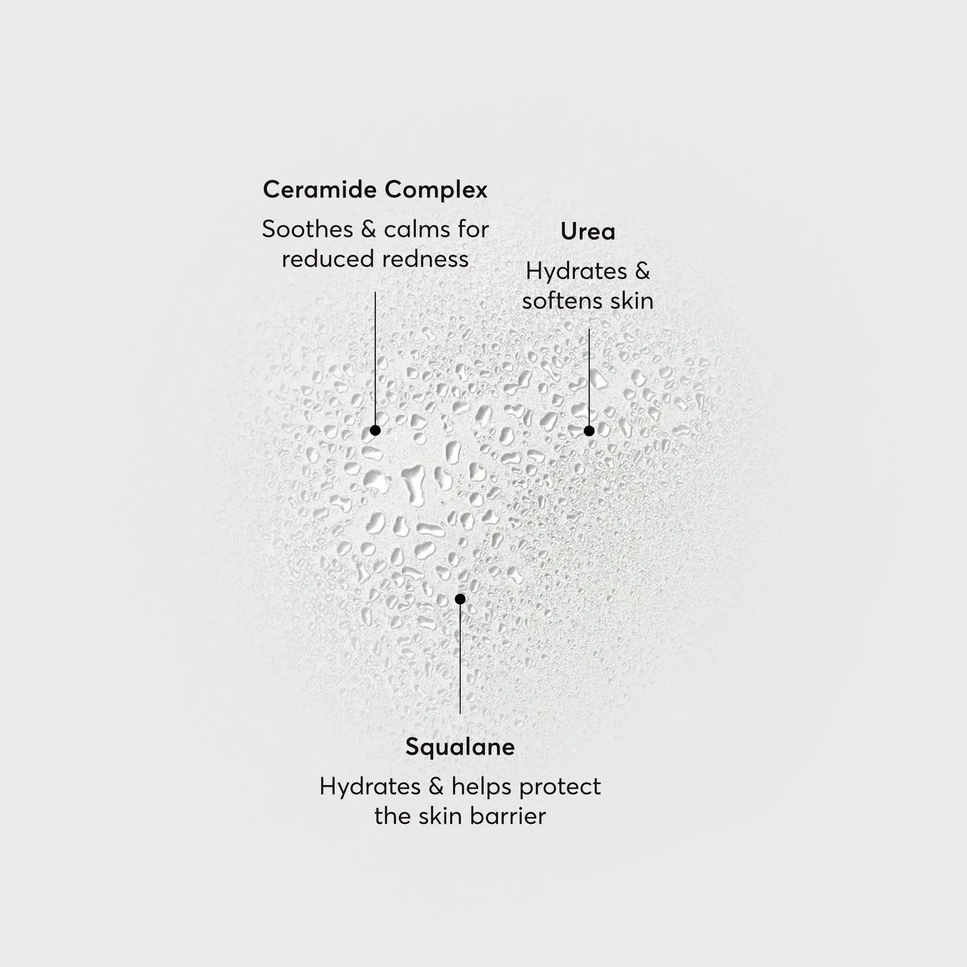 barrier-bounce-bi-phase-mist-j5 NATR-10167-Alt-Images-Barrier-Bounce-Bi-Phase-Toner-Mist_01.webp