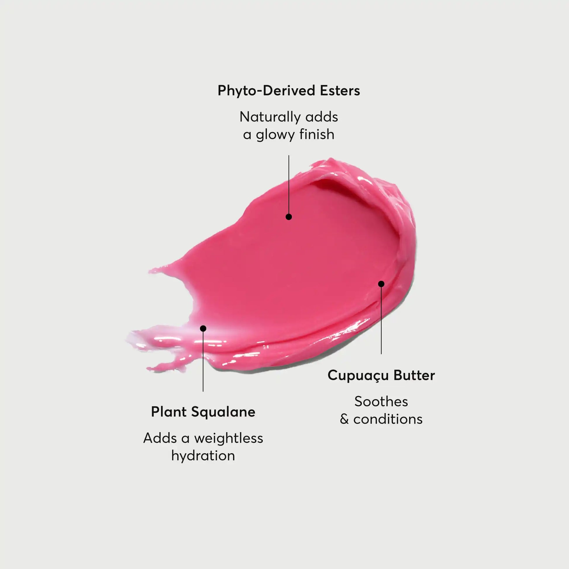 phyto-glow-lip-balm-camellia-j7 NATR-60075-Alt-Images-Phyto-Glow-Lip-Balm-Camellia-01.webp